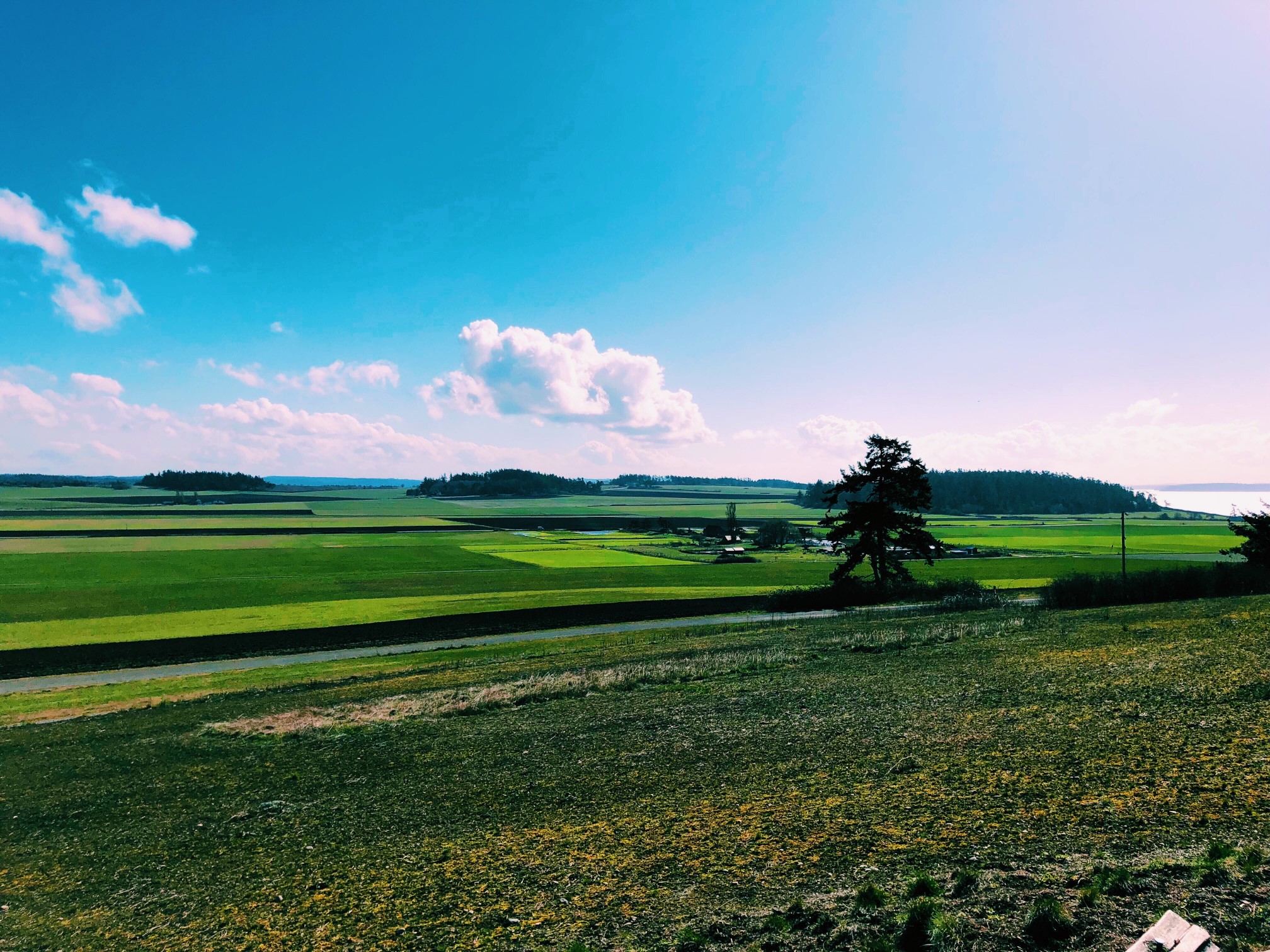 Ebey's Farmland, Windermere, Coupeville 