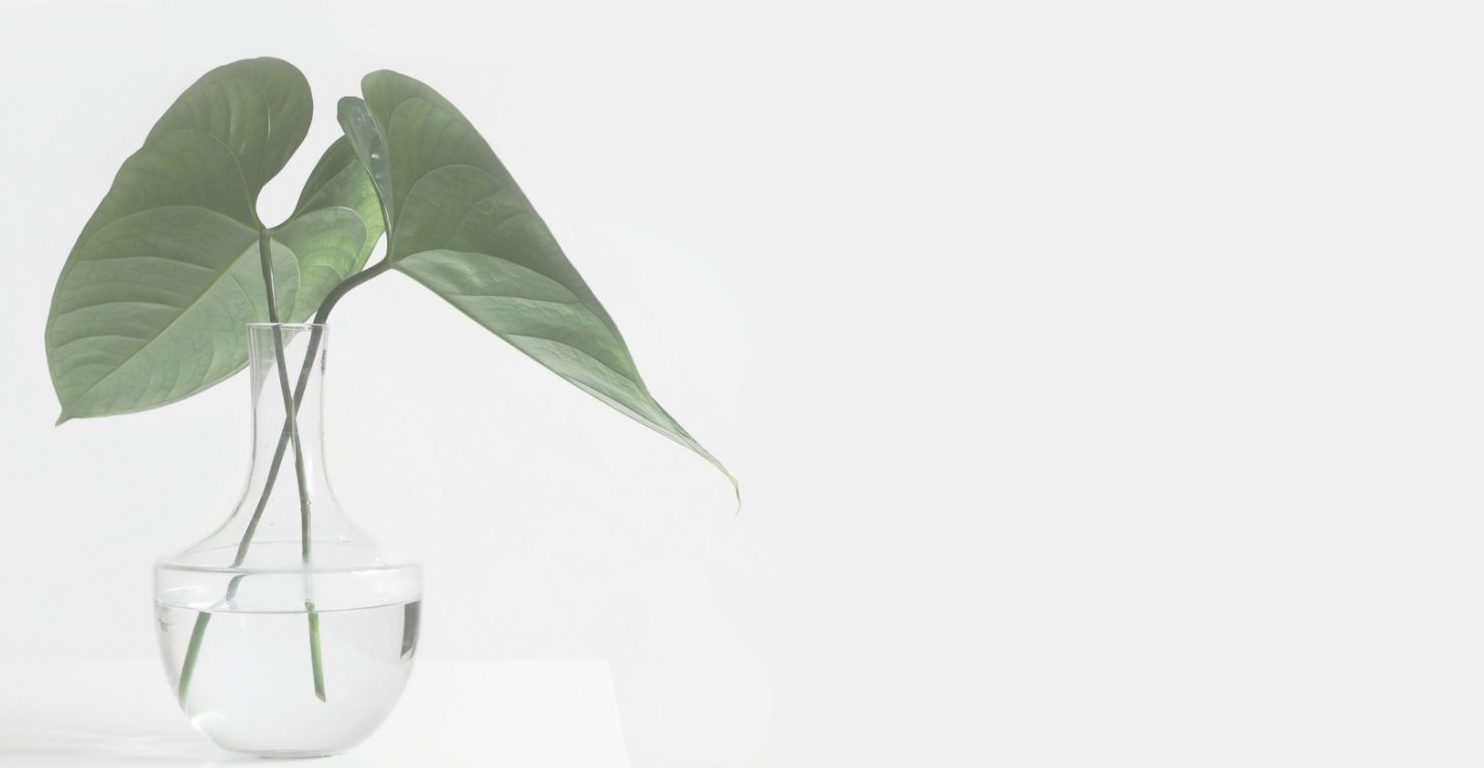 Rentals Whidbey Island