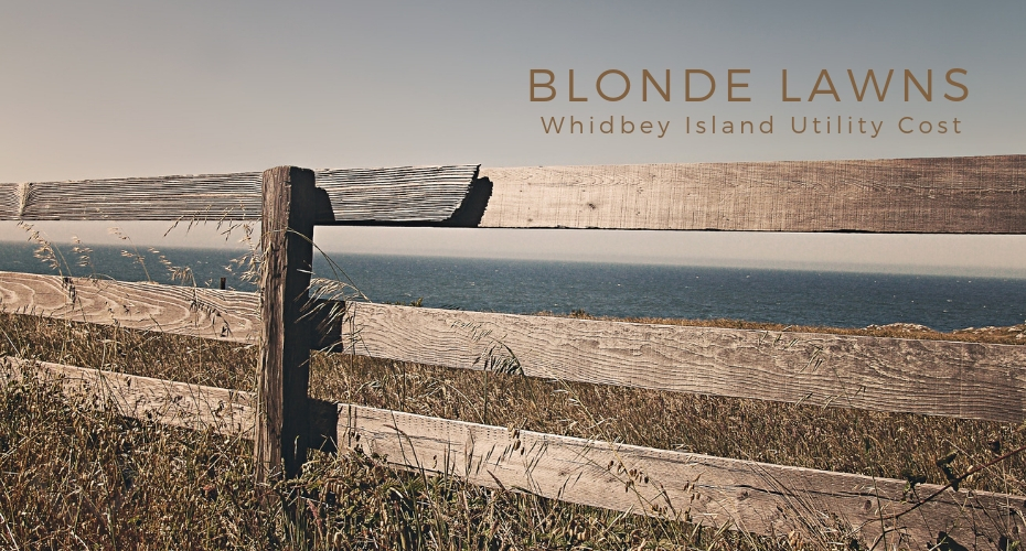 blonde lawns, yards, summer, resource, whidbey islan , oak harbor