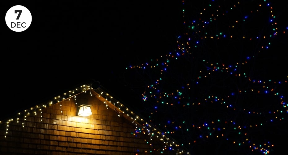 Holiday lights, tour, Whidbey island, Oak harbor, things to do on Whidbey, Real Estate, Island Transit