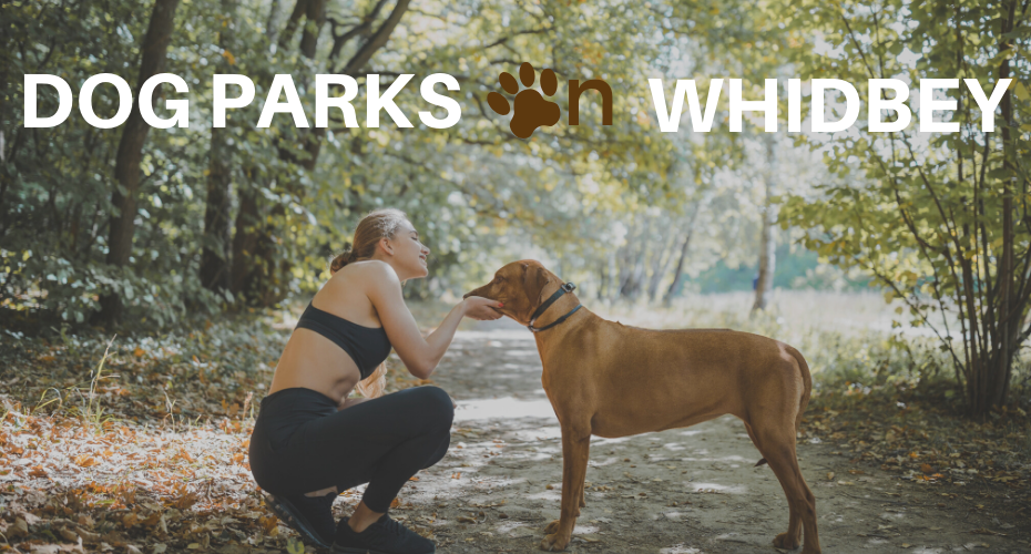 Dog Parks on Whidbey, Whidbey Island, Washington, Dogs, Parks