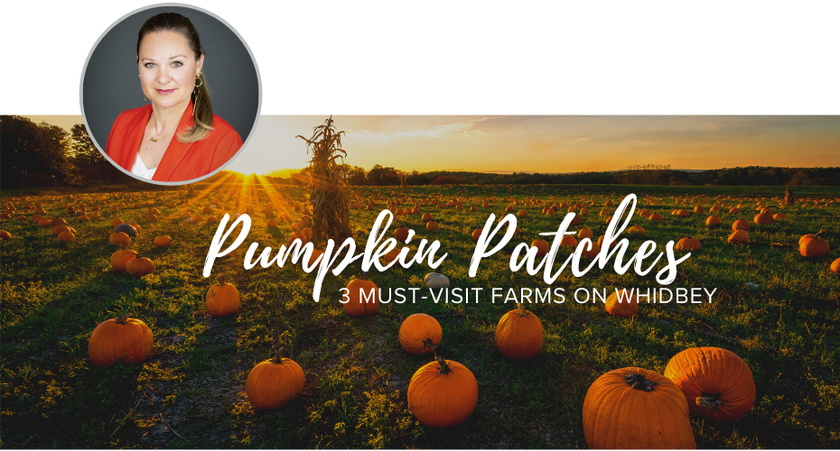 Pumpkin Patches, Whidbey Island, Annie Cash, Where to Buy Pumpkins on Whidbey, Pumpkins