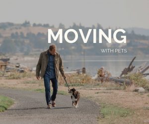 Moving with Pets, Don Jaques, Pets, Dog, Pet lovers