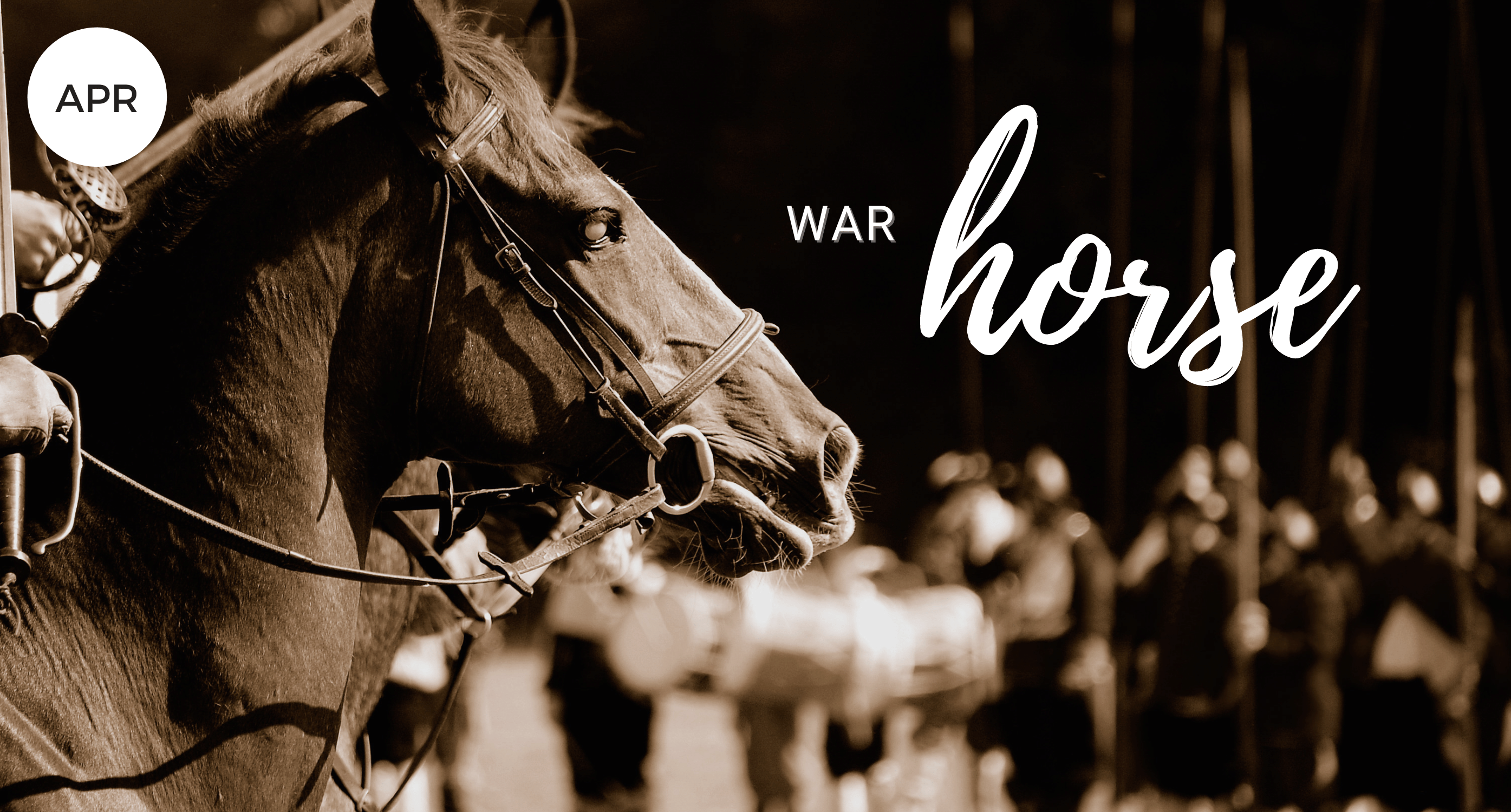 War horse, Whidbey Island, Washington