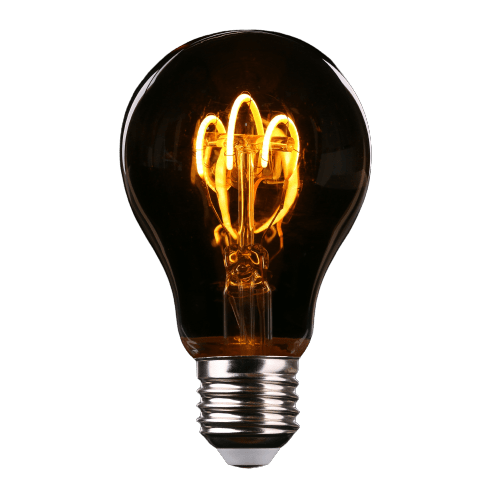 The big idea, Light Bulb, Windermere Foundation