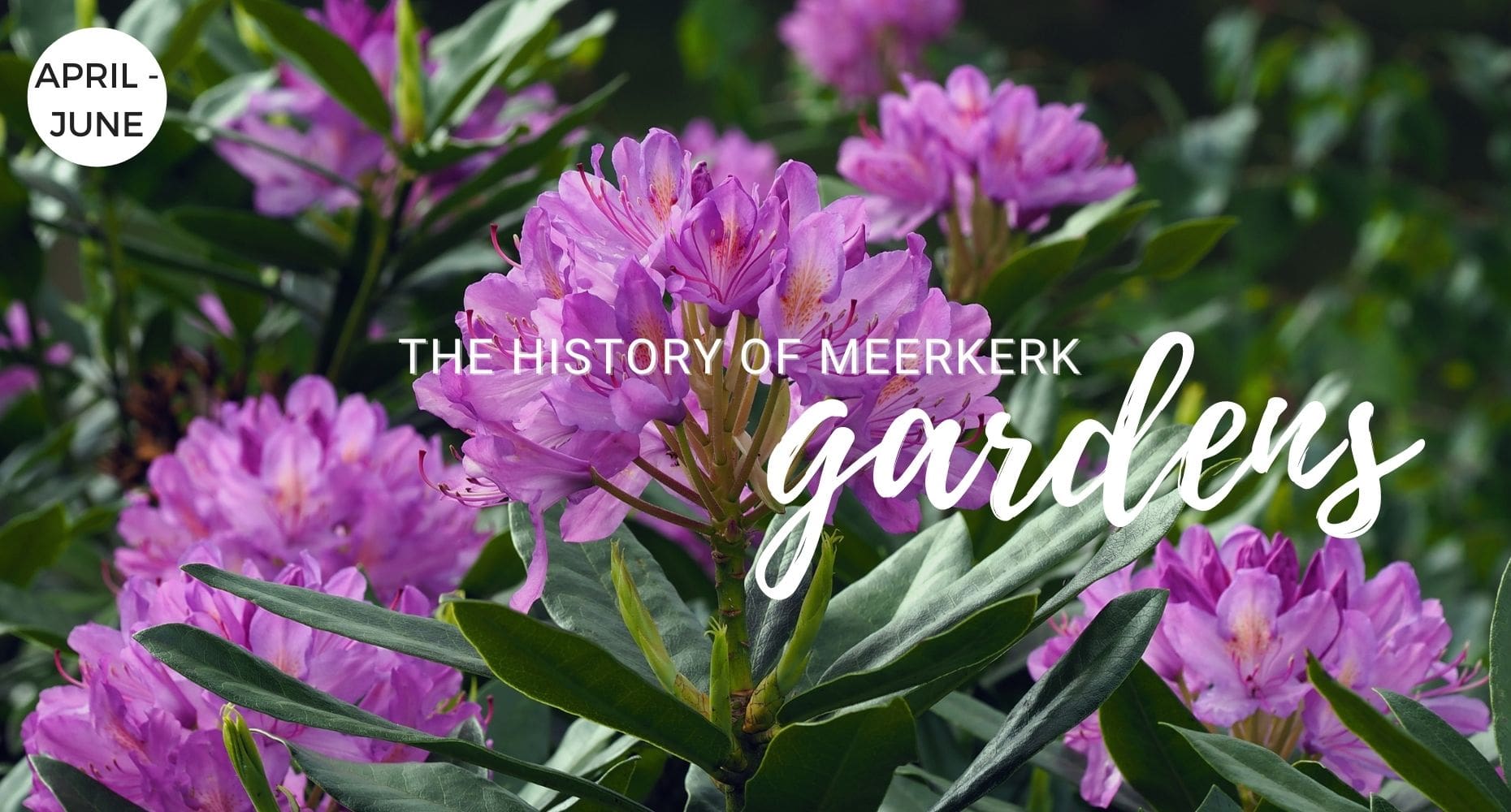 The History of Meerkerk Gardens
