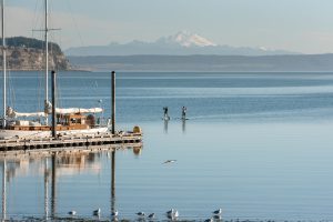 Paddel Boarding, Jennifer, Coupeville, Whidbey Island, Washington, Island life, Water