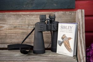Birds of Whidbey, Windermere, real estate, Whidbey Island, Island life, birdwatching