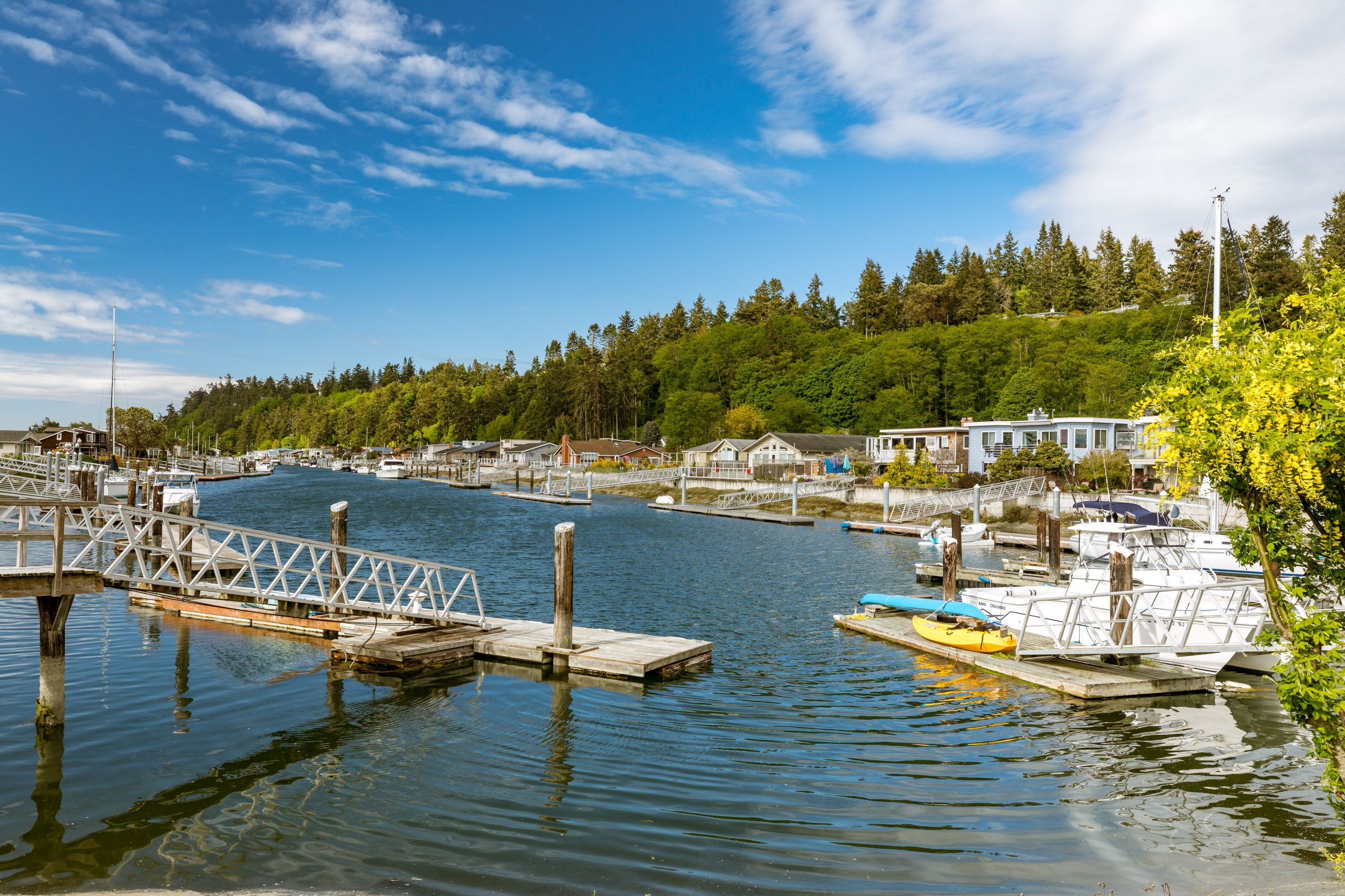 Sea life, Lifestyle, Island Life, PNW, Living in the North west, Windermere, Real Estate, Whidbey Island