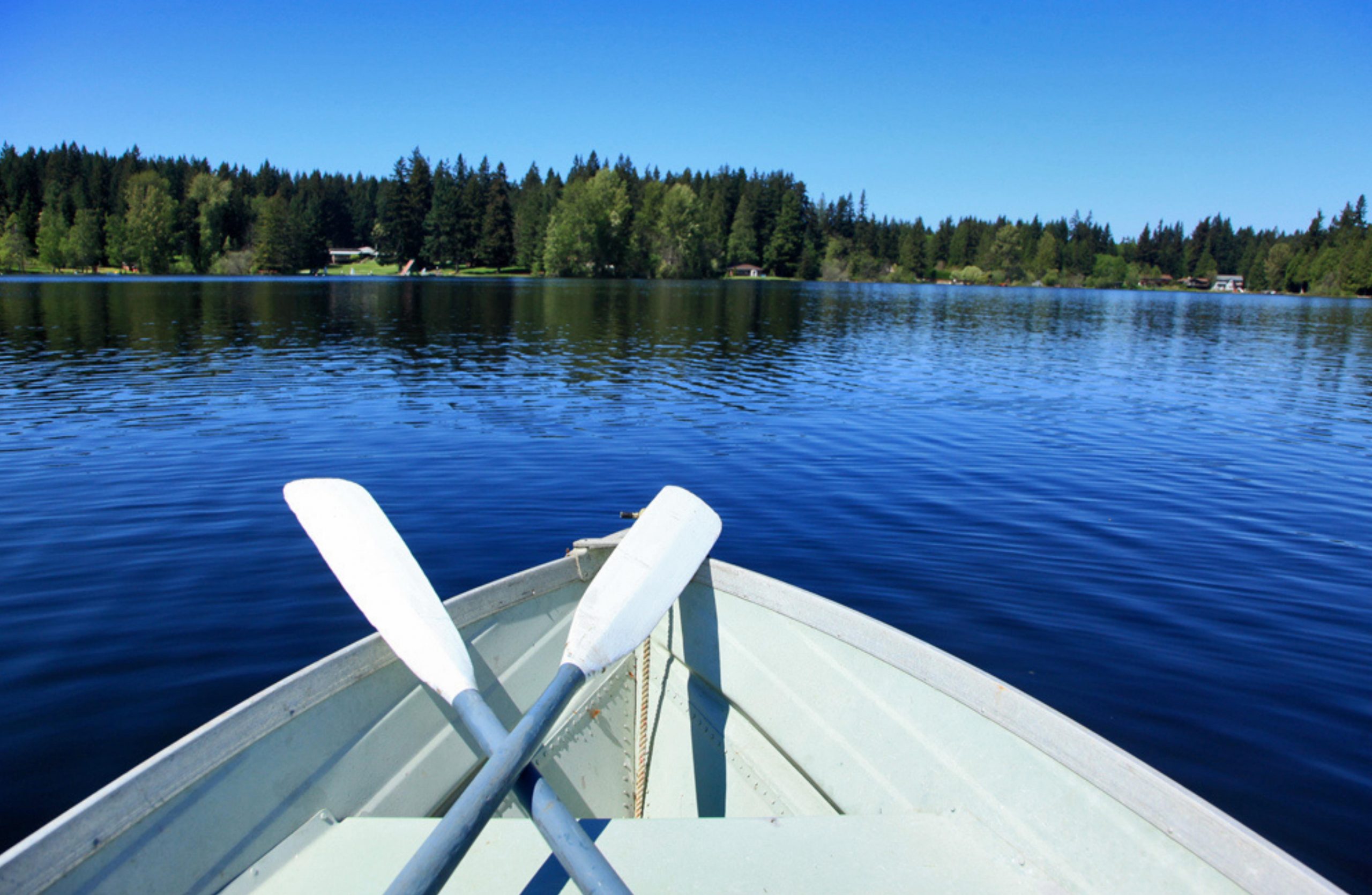 Goss Lake Langley