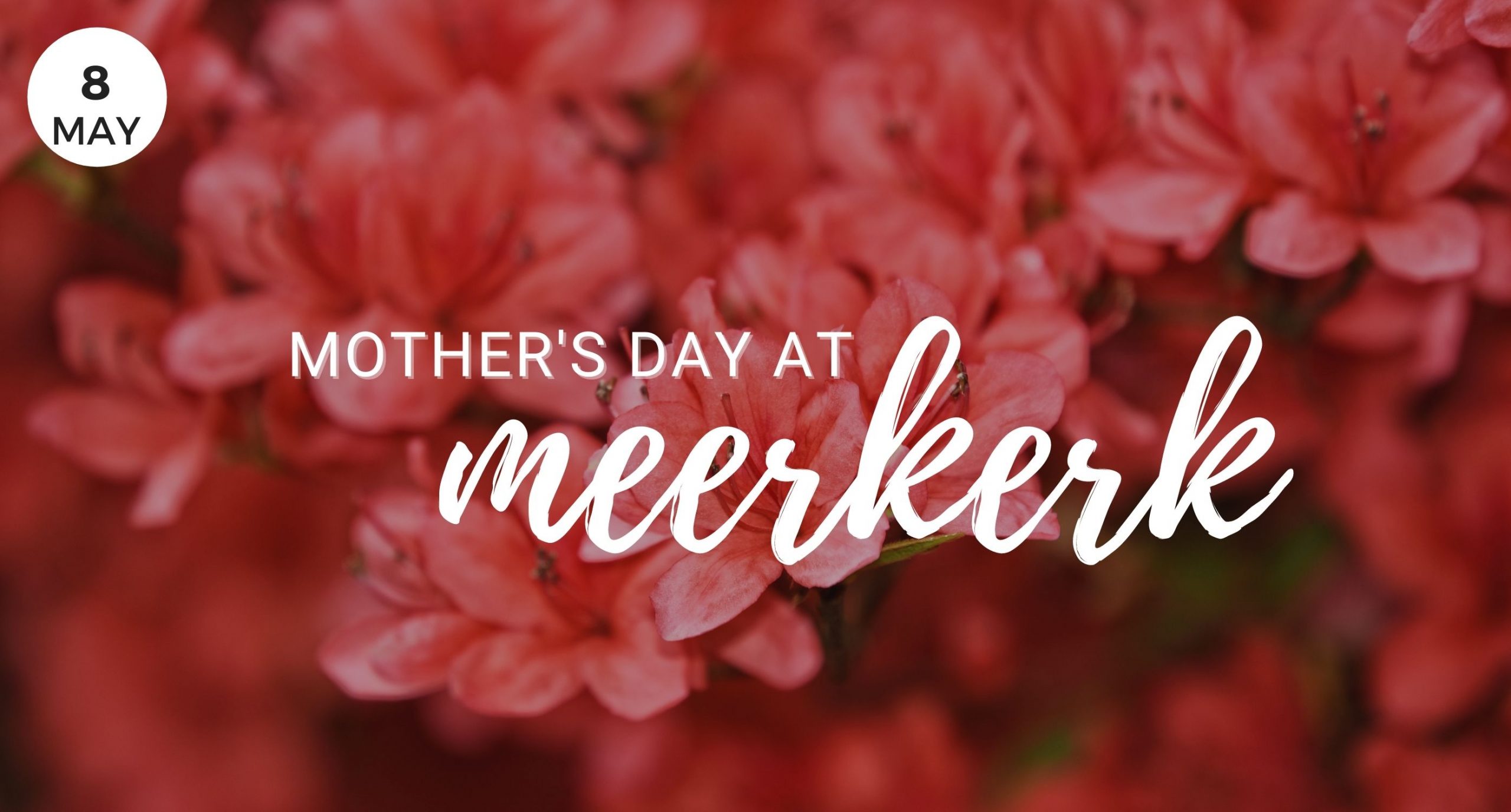 Mothers day, Meerkerk, gardens, flowers, rhododendron, red, event, Windermere Oak Harbor Wa, Mothers day Whidbey Island