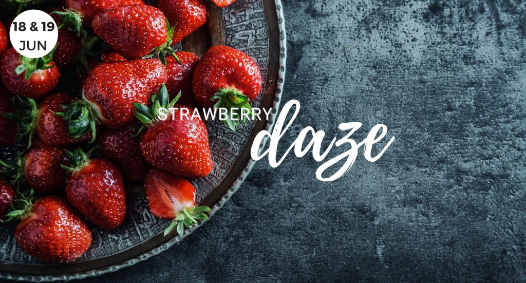 Events, June event, Whidbey Island, Sponsored by Windermere Whidbey Island, Strawberry Daze, Strawberry, Strawberries, Summer, Summertime, Whidbey Island