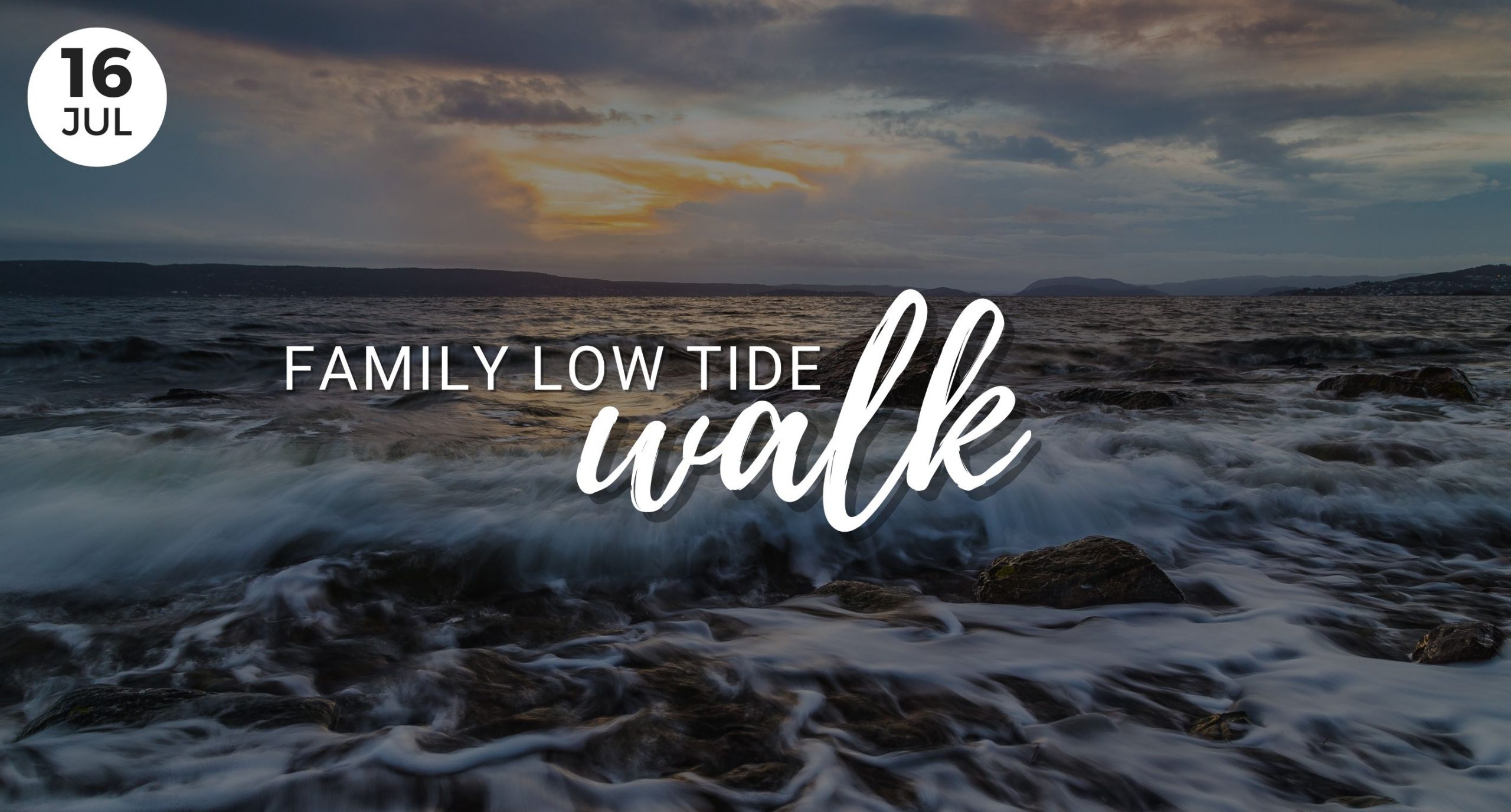 Family Low Tide Walk, Fort Casey, State Park, Tidal areas, ocean, Whidbey Island Living, Island Life