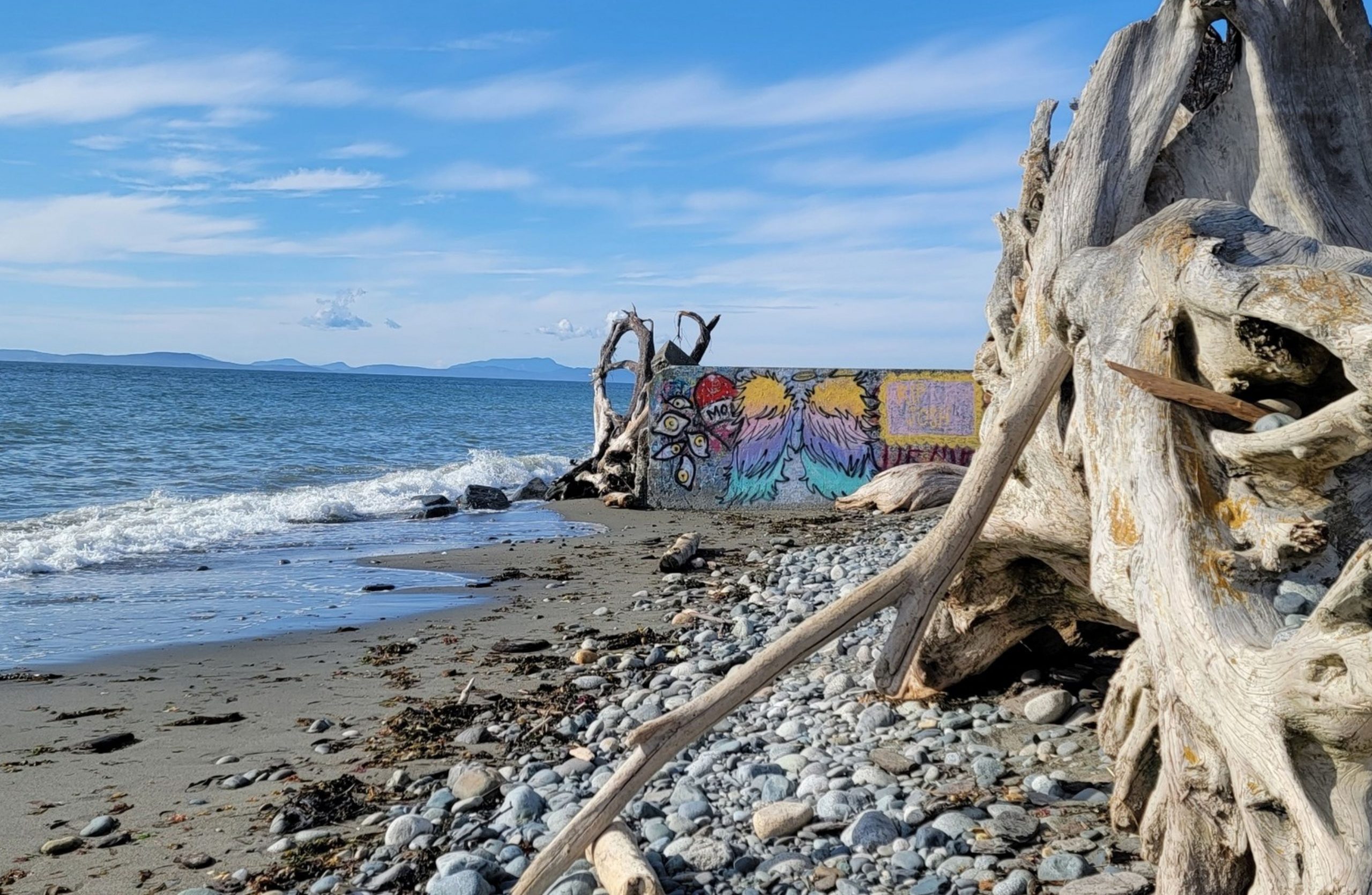 Graffiti Wall West Beach