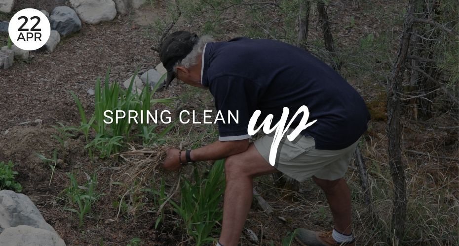 April, Events, Spring Clean Up, Oak Harbor, Whidbey Island, Washington