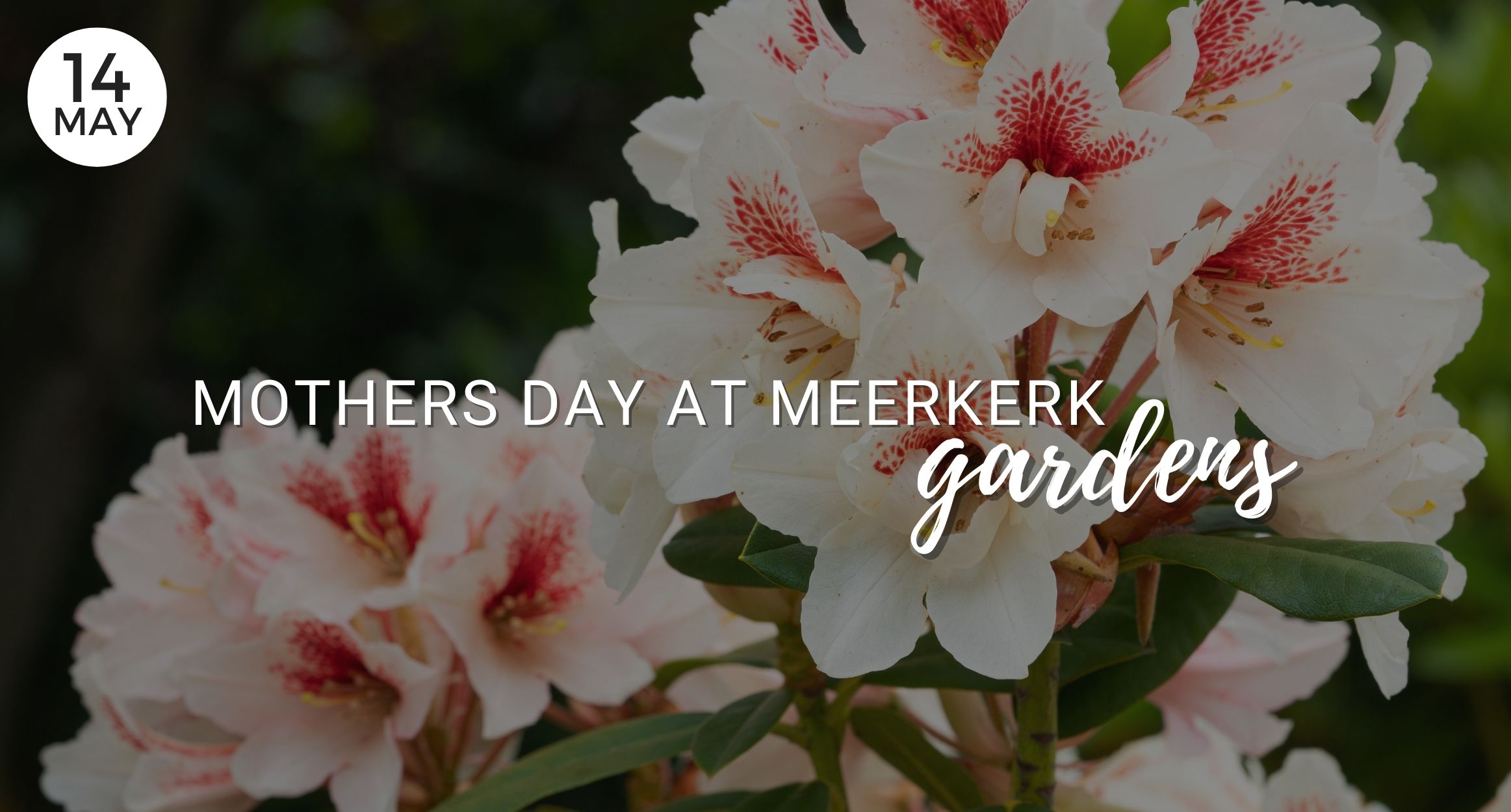 Mothers day at Meerkerk Gardens, Flowers, Special Day