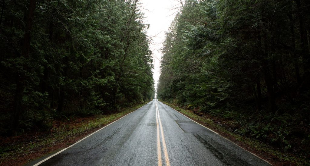Weather in the Pacific North West, PNW, Whidbey Island, road lined by pine trees