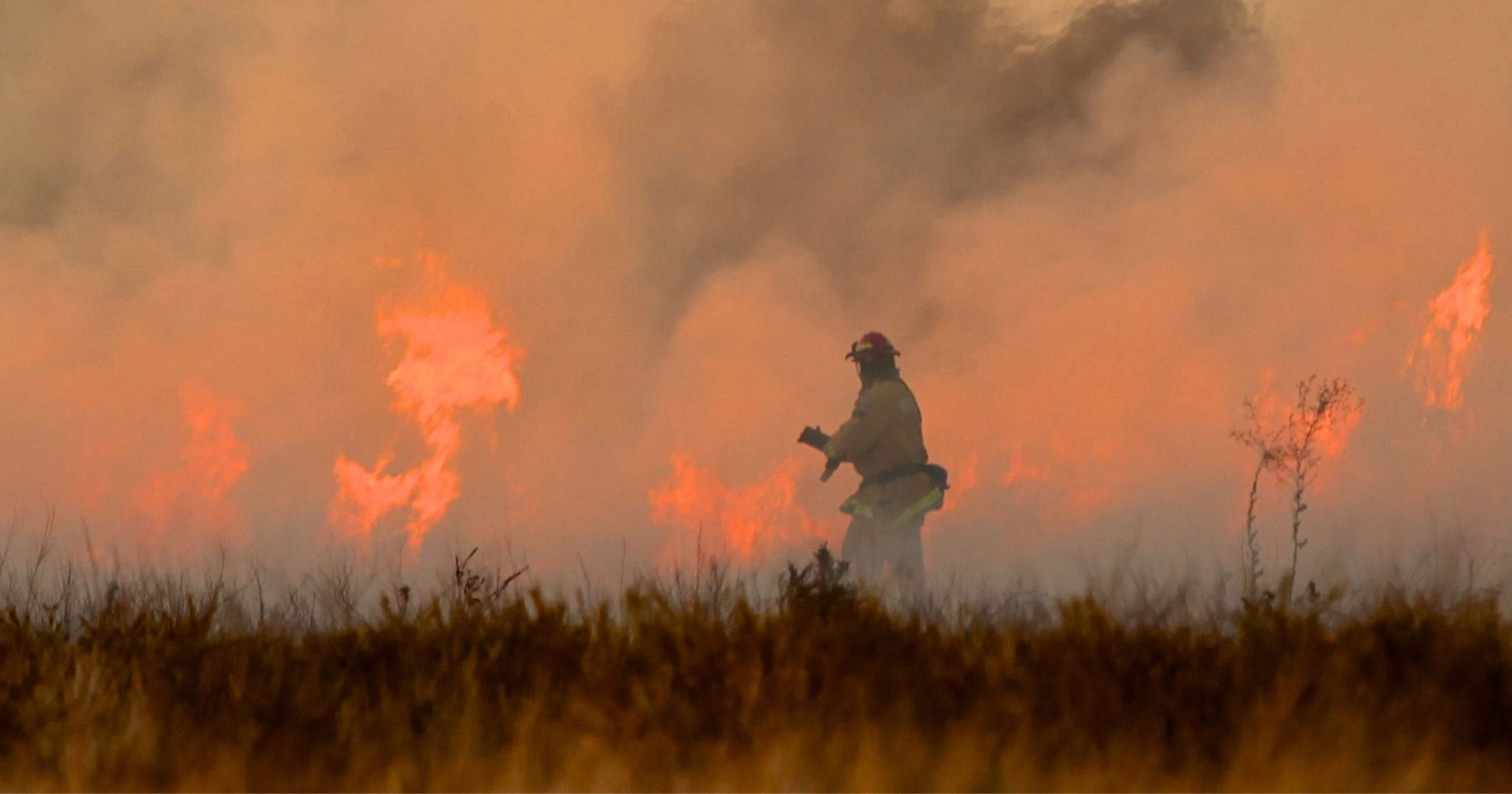 Firefighting Island Style