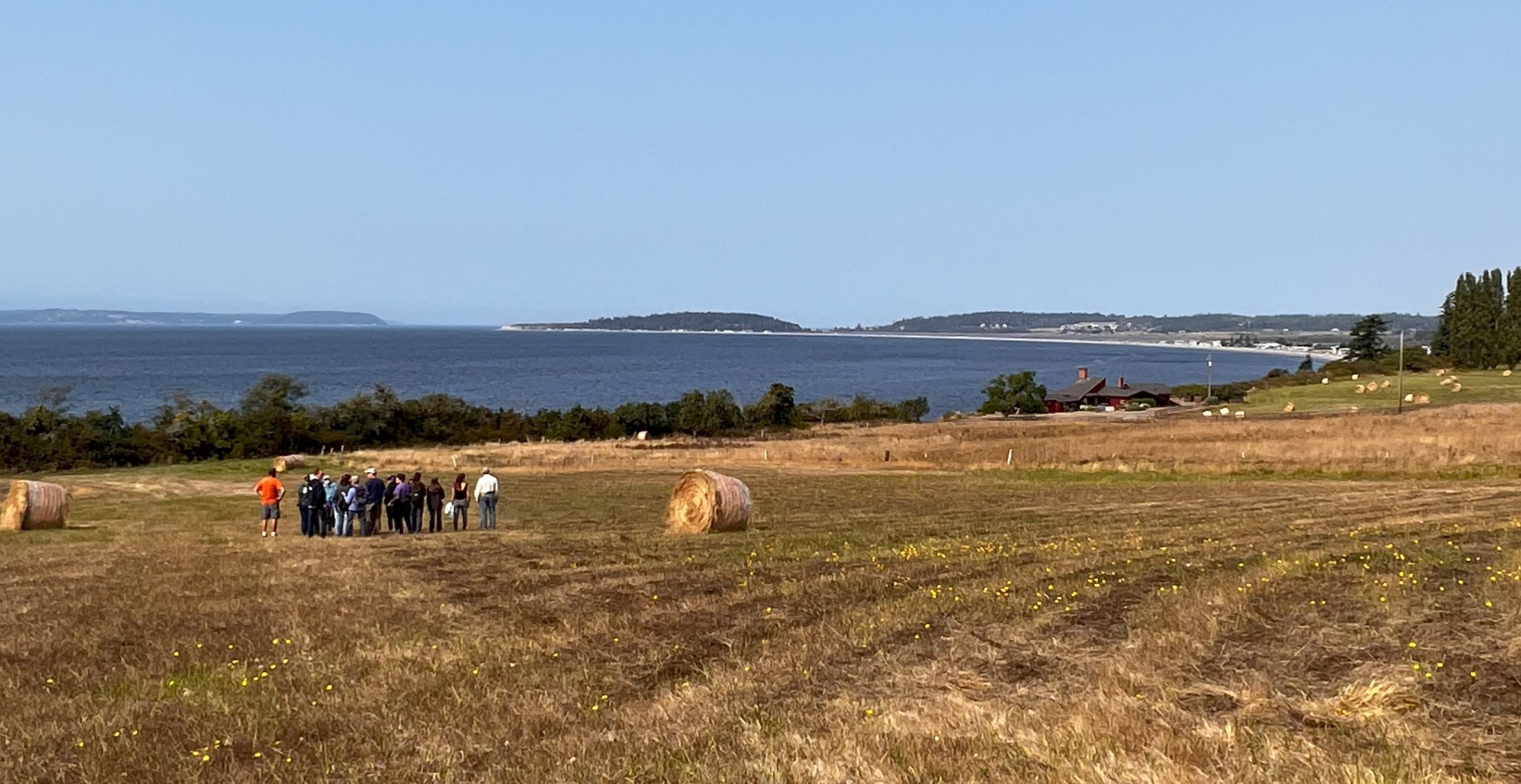 Wandering Trail Tours - Whidbey and Camano Islands