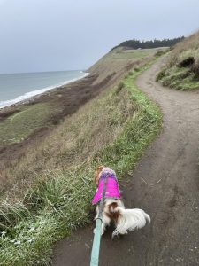 walk, Bluff, Hike 