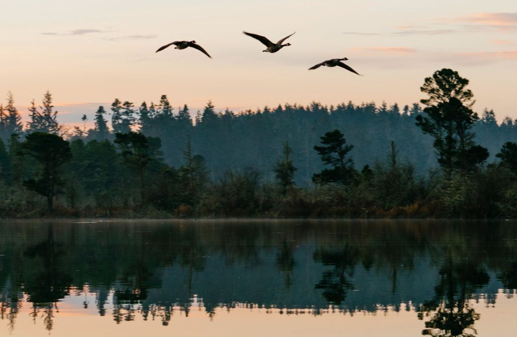 Cranberry Lake