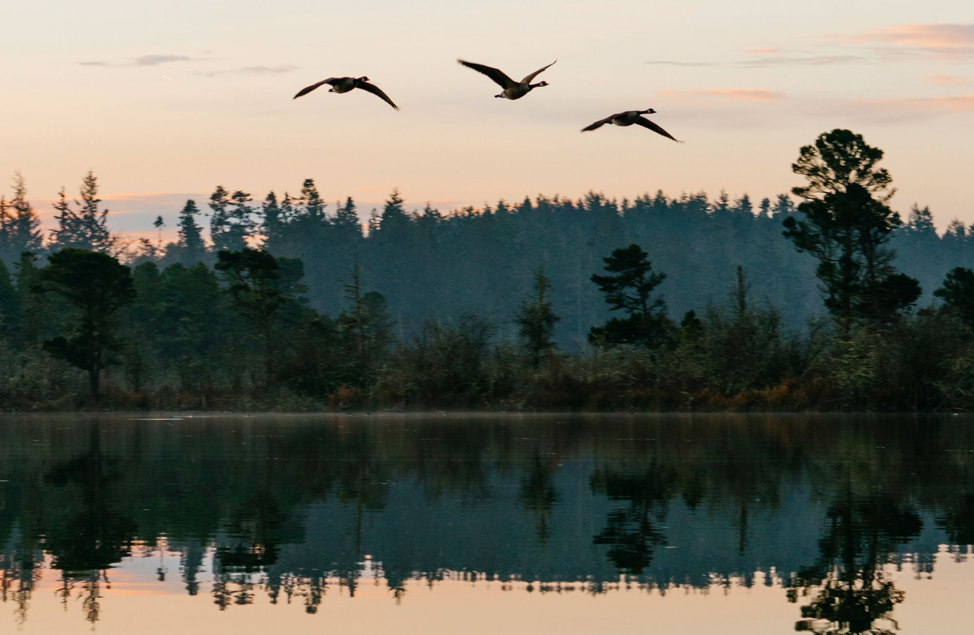 Cranberry Lake