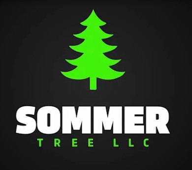 Sommer Tree LLC