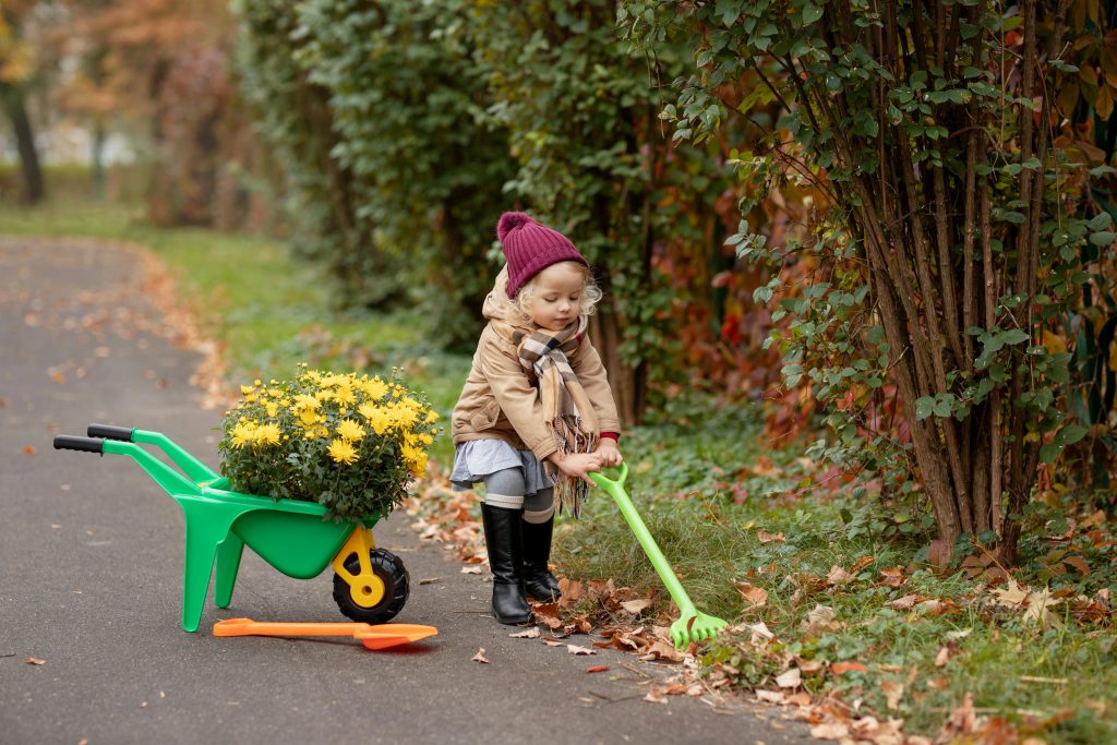 Fall Garden & Yard Prep
