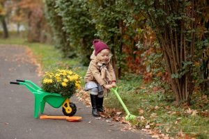 Fall Garden & Yard Prep