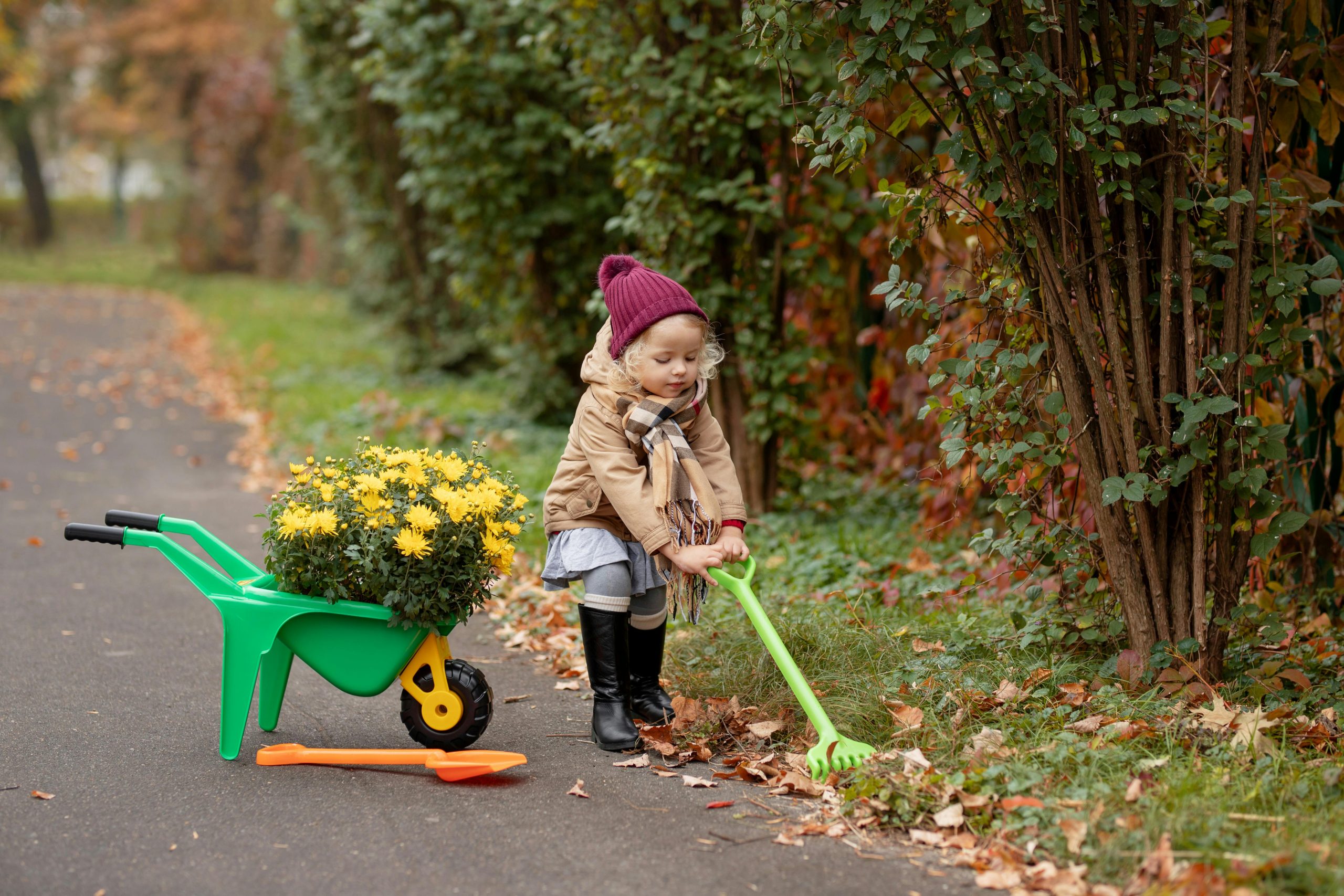Fall Garden & Yard Prep
