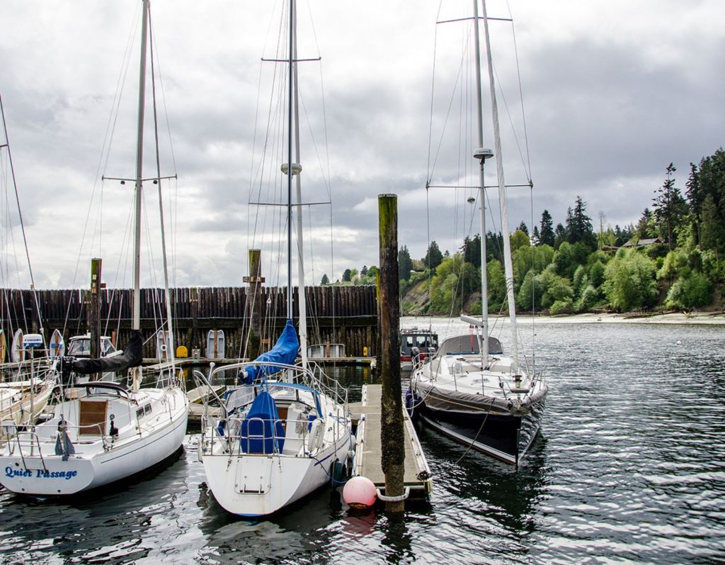 Whidbey Water Life