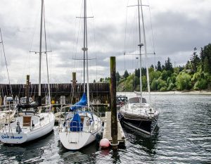 Whidbey Water Life