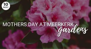Mothers Day at Meerkerk Gardens